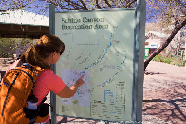  Sabino Canyon Recreation Area