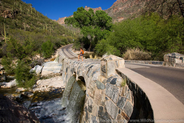  Sabino Canyon Recreation Area