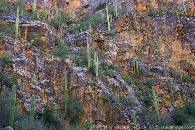  Sabino Canyon Recreation Area