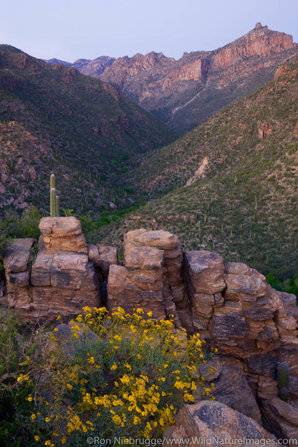 Sabino Canyon Recreation Area