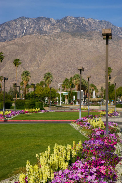 Palm Spring Airport