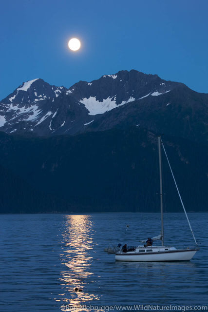 Resurrection Bay