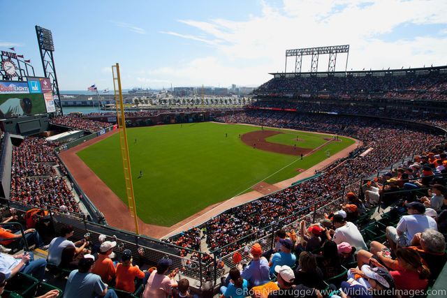 San Francisco Giants