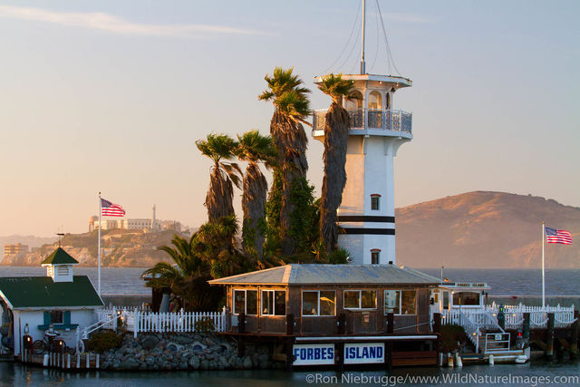 Forbes Island