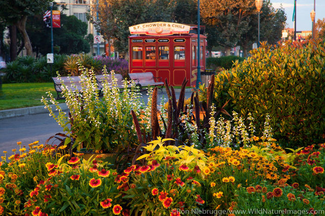 Fisherman's Wharf