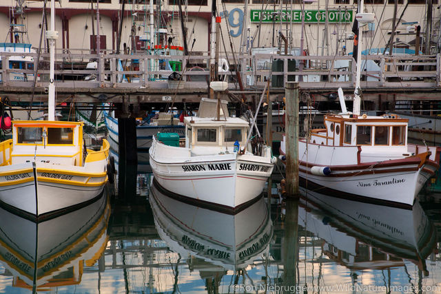 Monterey Hull Boats
