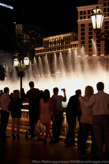 Bellagio Fountain Show
