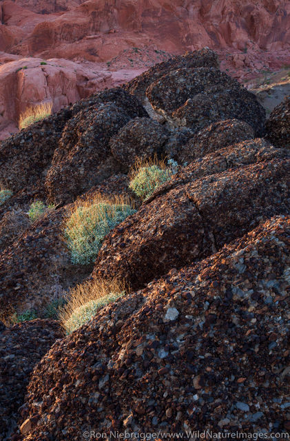 Valley of Fire State Park