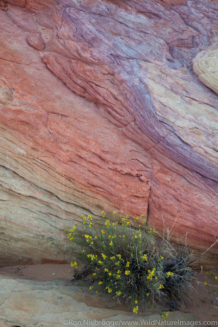 Valley of Fire State Park