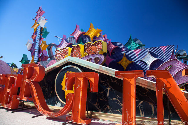 Neon Museum