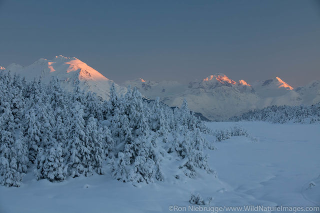 Chugach National Forest