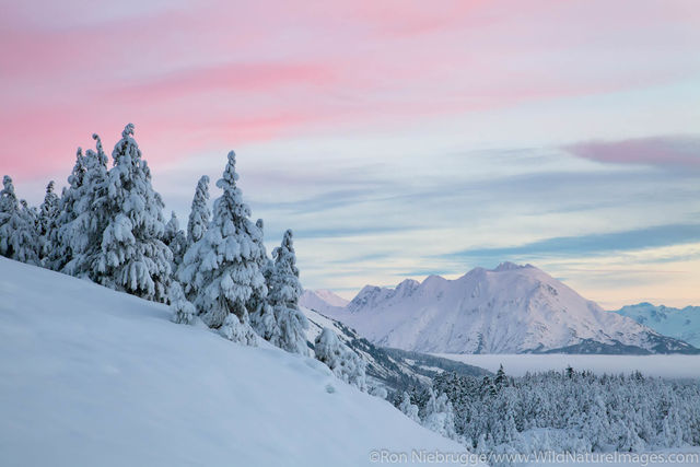 Turnagain Pass in Winter