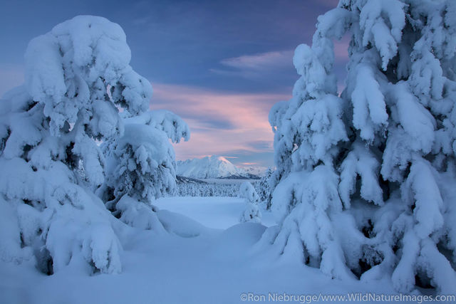 Turnagain Pass in Winter