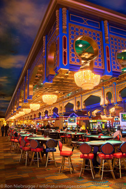 The Sahara Hotel and Casino