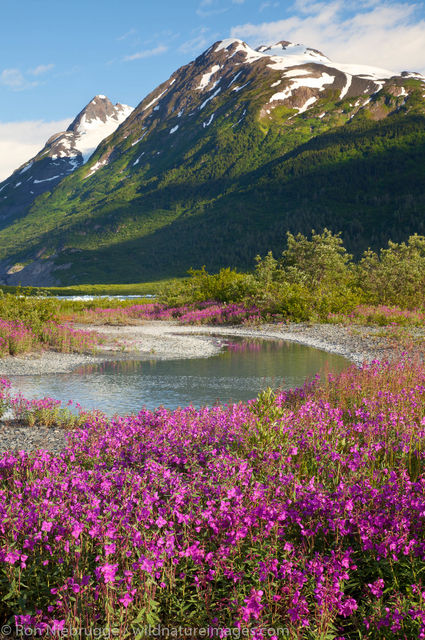 Spencer Glacier