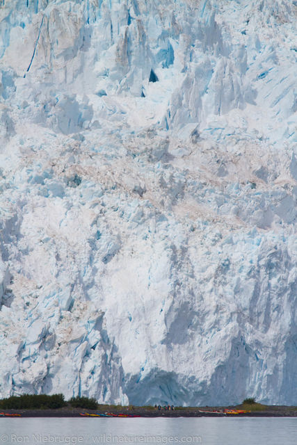 Aialik Glacier