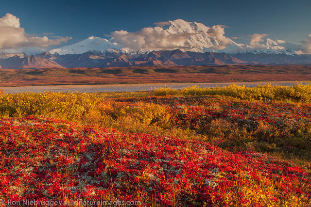 Autumn in Denali National Park