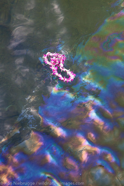 Oil from the USS Arizona