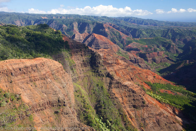 Waimea Canyon