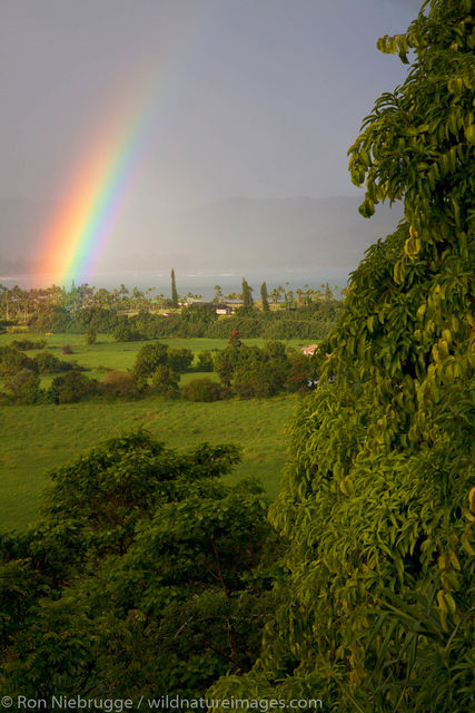Rainbow, Kauai, Hawaii