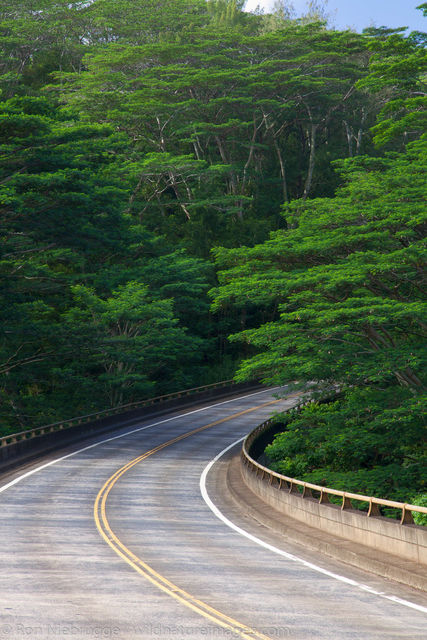 Highway 560, Kauai, Hawaii