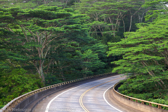 Highway 560, Kauai, Hawaii