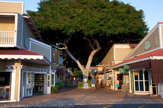 Lahaina, Maui, Hawaii