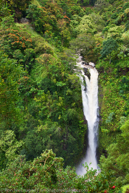 Lower Puohokamoa Falls