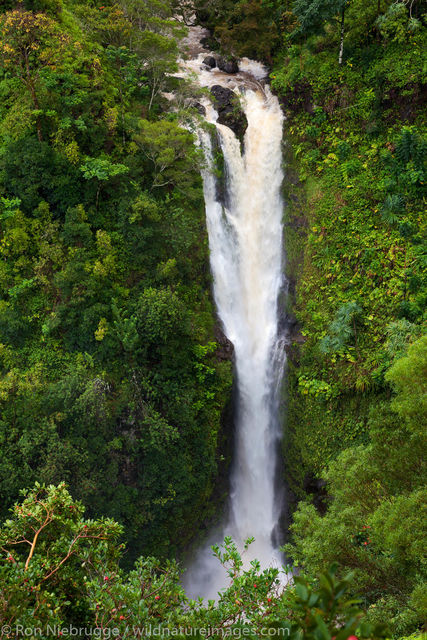 Lower Puohokamoa Falls