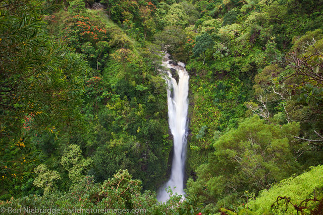 Lower Puohokamoa Falls
