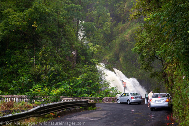 the Hana Highway, Maui, Hawaii.