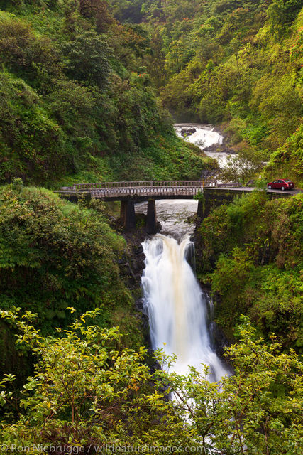 the Hana Highway, Maui, Hawaii.