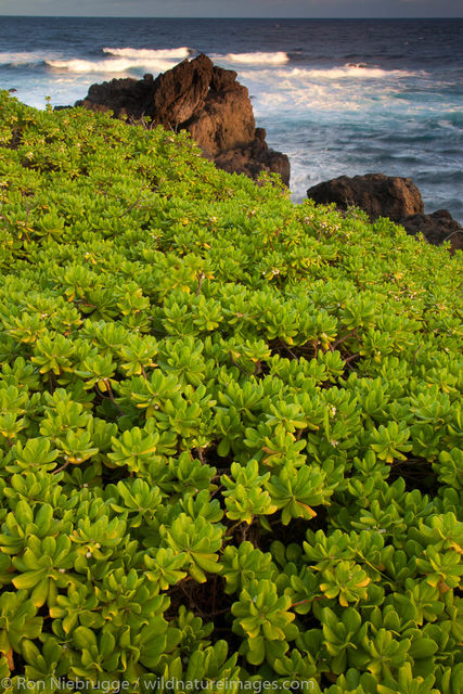 Maui, Hawaii