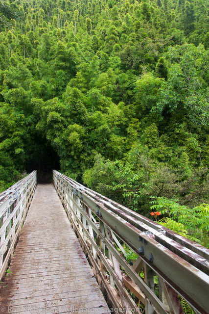 Pipiwai Trail, Maui, Hawaii