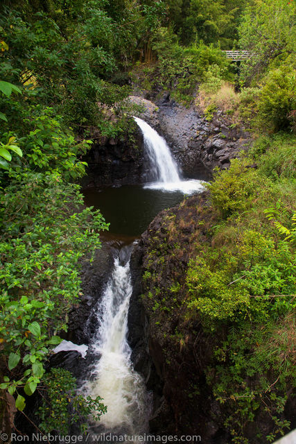 Pipiwai Trail, Hana