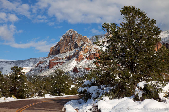 Schnebly Hill Road, Coconino National Forest