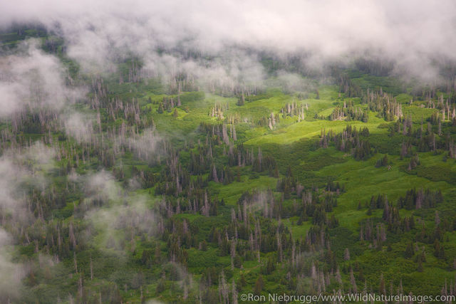 Aerial Cook Inlet
