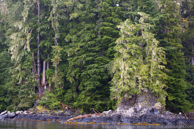 Tongass National Forest