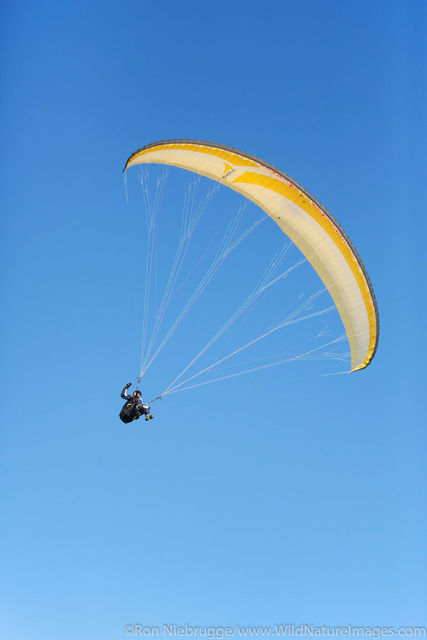 Paraglider