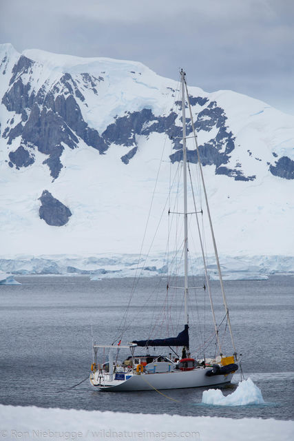 Cuverville Island, Antarctica