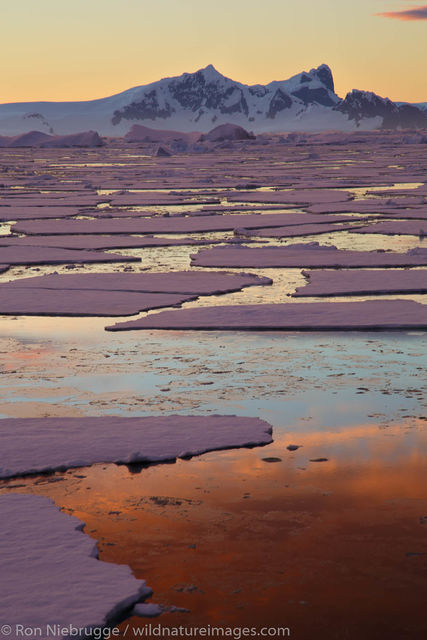 Antarctica