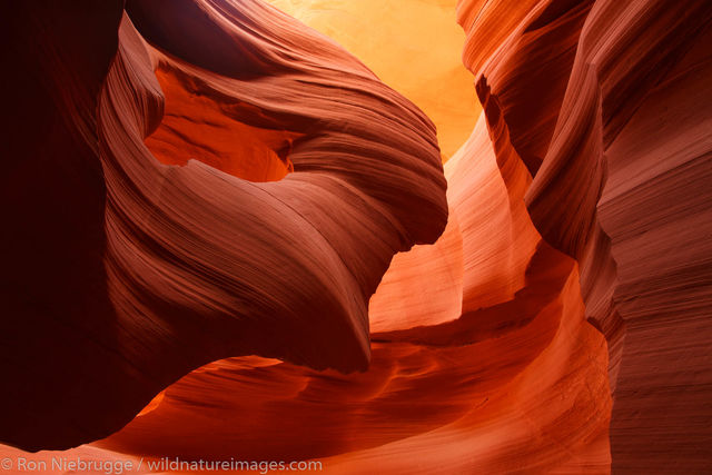 Lower Antelope Slot Canyon 