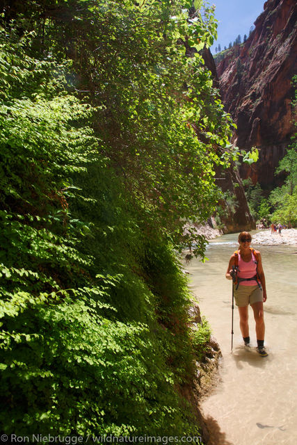 The Narrows, Zion National Park