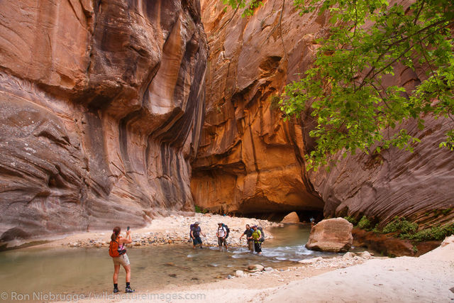 Hiking the Narrows, Zion National Park