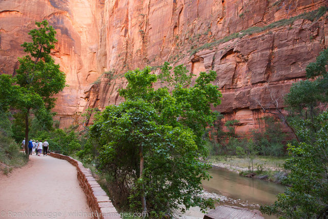 Zion National Park