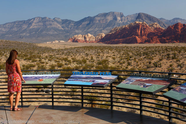 Red Rock Canyon 