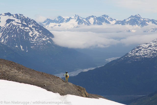 Harding Icefield