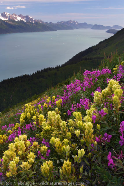 Seward, Alaska