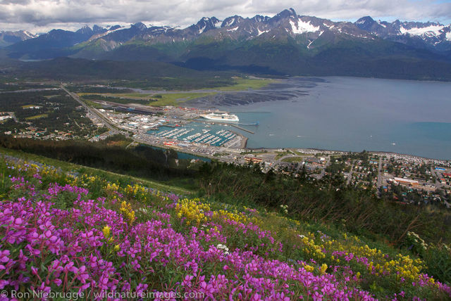 Seward, Alaska from Mt Marathon