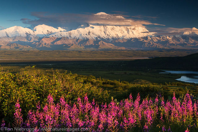 The mountain known as Denali.